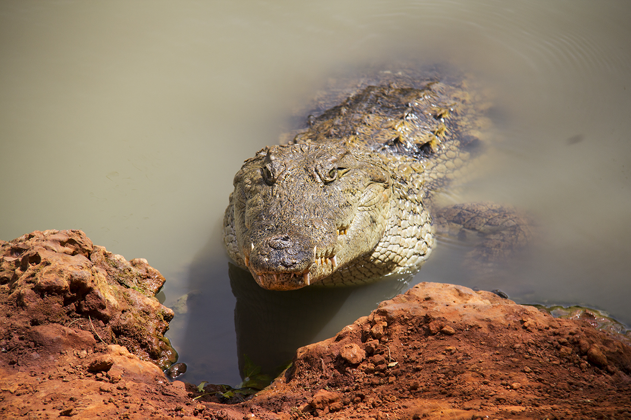 Reserve De Bandia Senegal