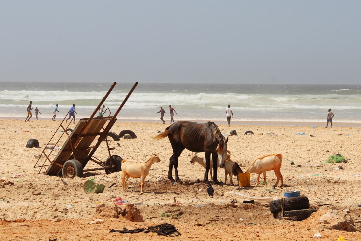 Dakar