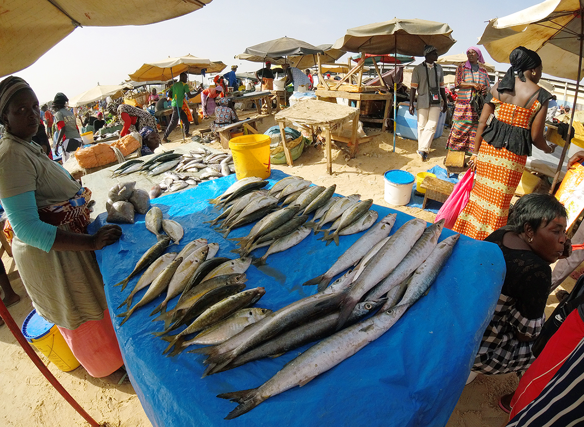 Fish market M´bour